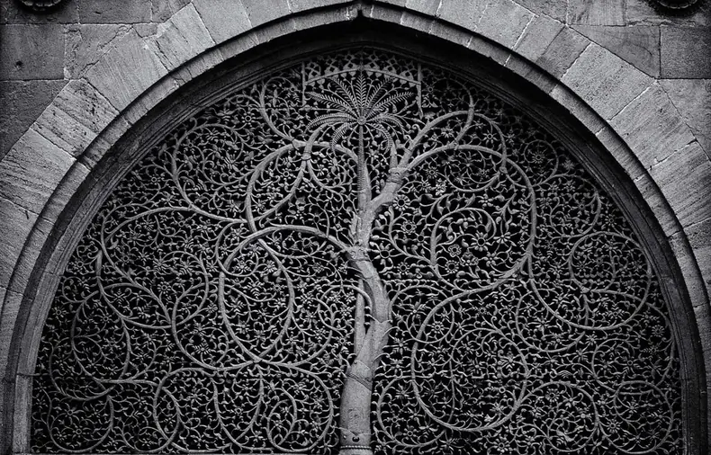 Sidi Saiyyed Mosque Tree of Life jali, Ahmedabad